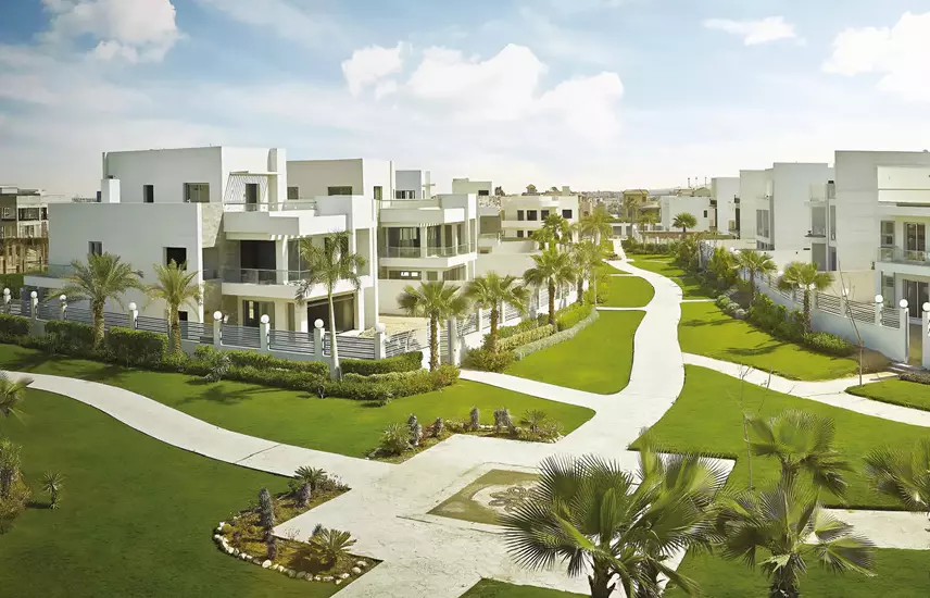 Cleopatra Square 3