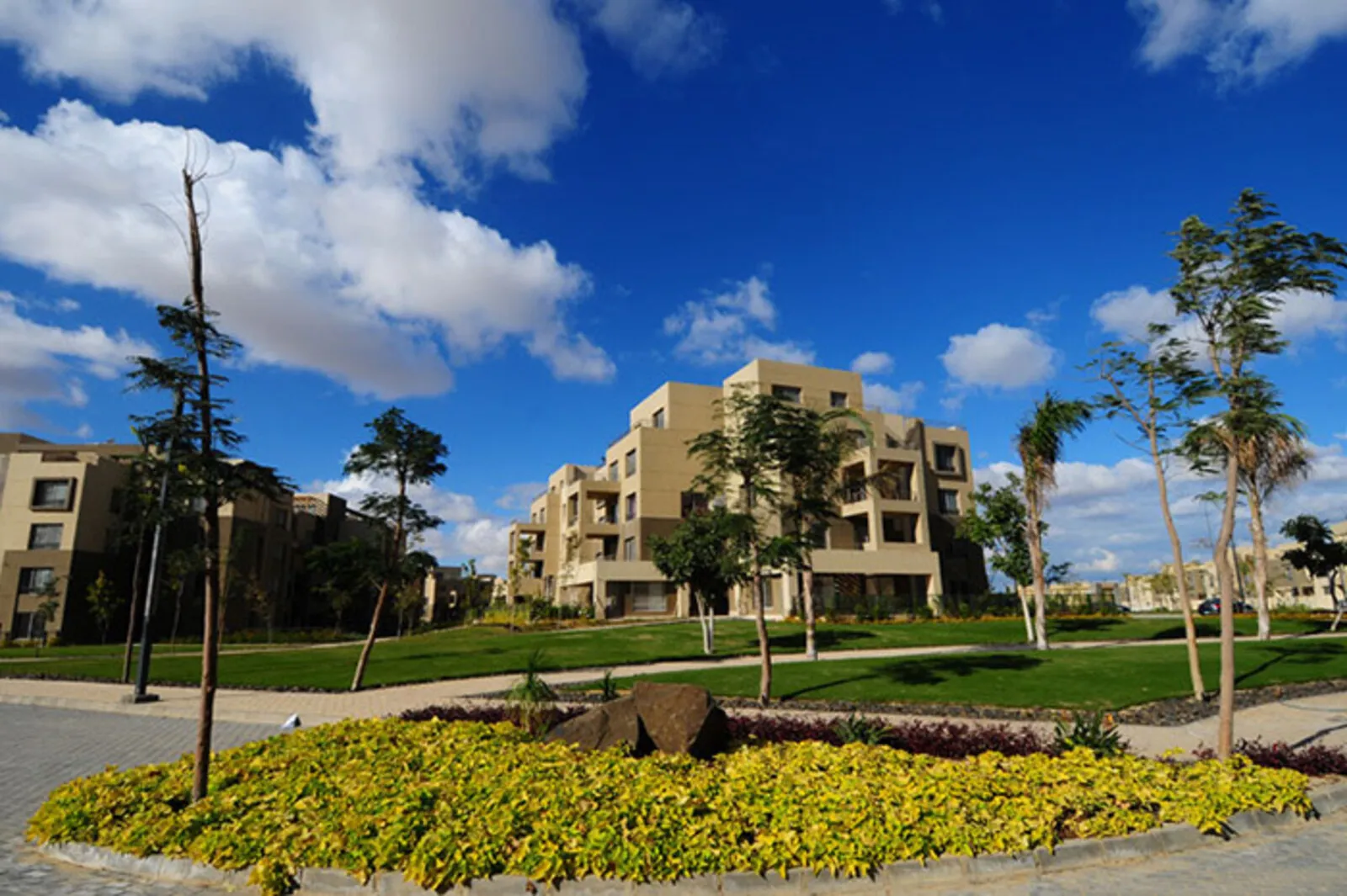 Palm Parks 3
